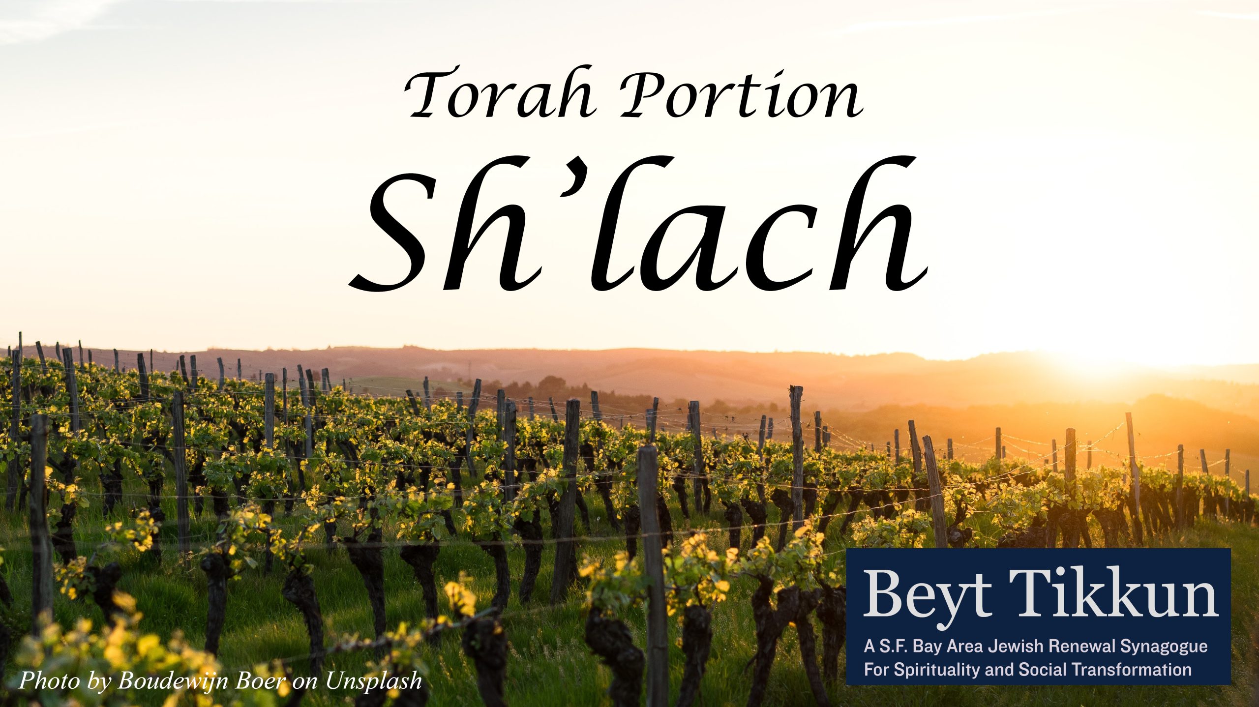 Torah Portion: Sh'lach